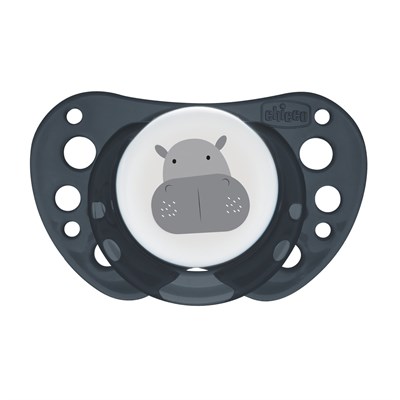 Chicco PhysioForma Air 2li Silikon Emzik 16-36 Ay