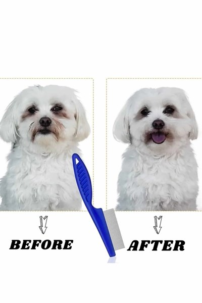 Evcil Hayvan Tarak Seti 4lü Bit Tarağı Ked Köpek Tüyüne Uygun