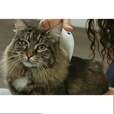 Flea Doctor Pet Hayvanlar İçin Haşere Öldürücü Pilli Pire Tarağı