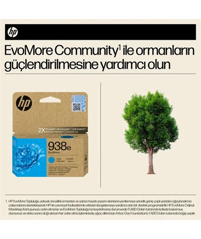 HP 4S6X9PE EvoMore Camgöbeği M.K(938e)