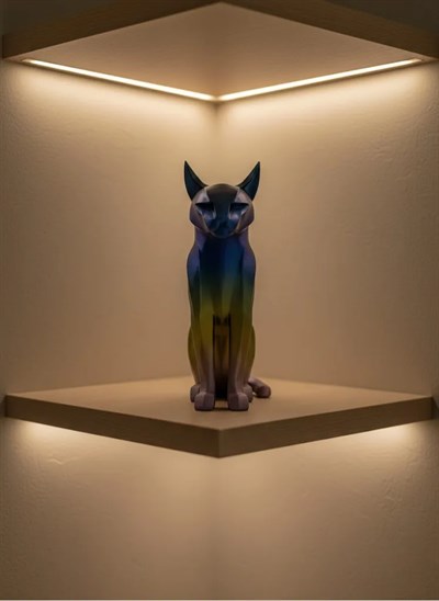 KOYU RAİNBOW KEDİ