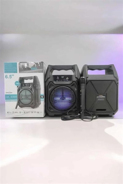 Kablosuz 6.5 İnç TWS Bluetooth Hoparlör