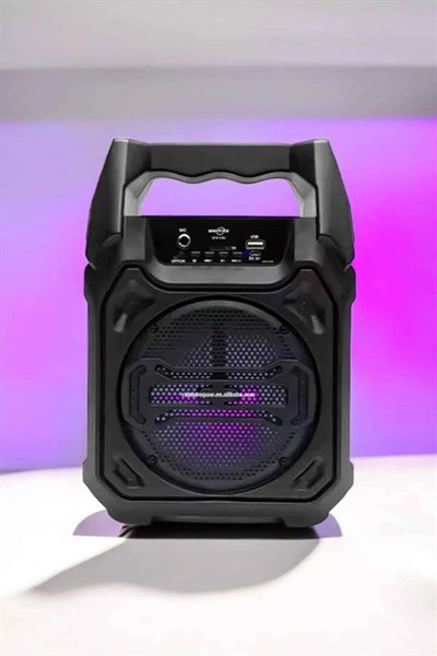 Kablosuz 6.5 İnç TWS Bluetooth Hoparlör