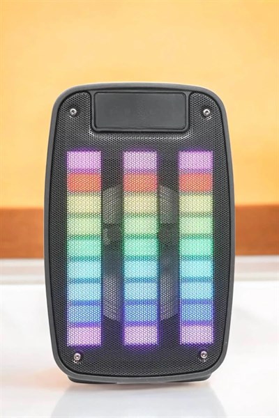 Kablosuz Bluetooth Hoparlör Taşınabilir 6.5 inç LED Işık Kareoke