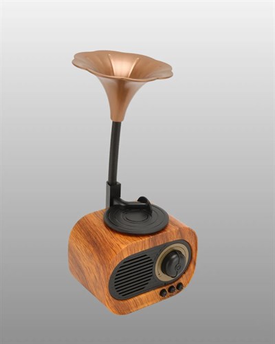 Kablosuz Retro Radyo Hoparlör 5W Güçlü Ses USB Hafıza Kart Destekli