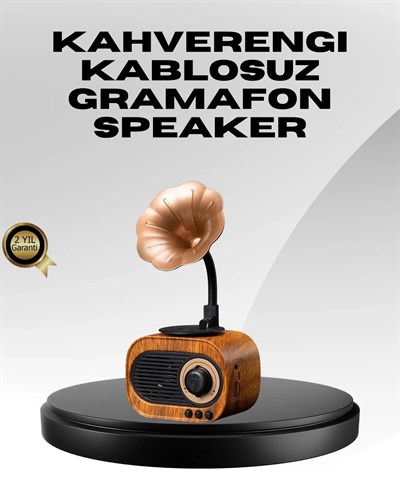 Kablosuz Retro Radyo Hoparlör 5W Güçlü Ses USB Hafıza Kart Destekli