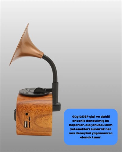 Kablosuz Retro Radyo Hoparlör 5W Güçlü Ses USB Hafıza Kart Destekli