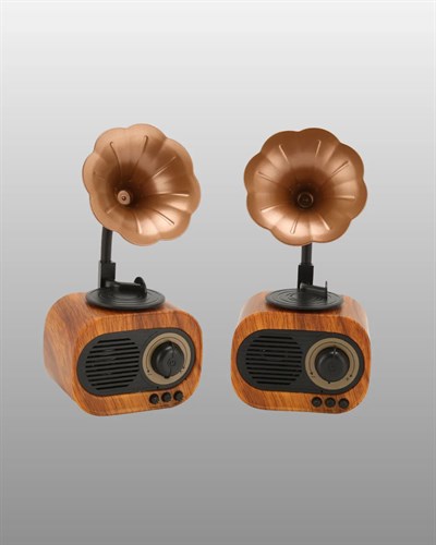 Kablosuz Retro Radyo Hoparlör 5W Güçlü Ses USB Hafıza Kart Destekli