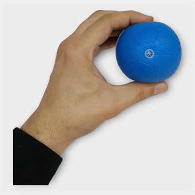 Köpek Oyuncağı - Plastik Düdüklü Top