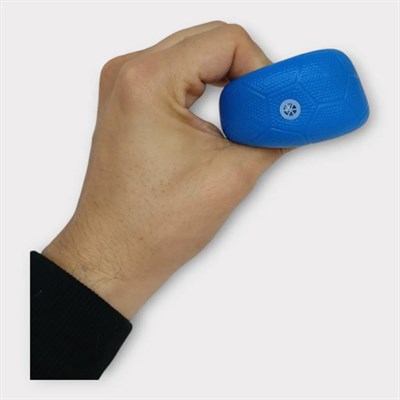 Köpek Oyuncağı - Plastik Düdüklü Top