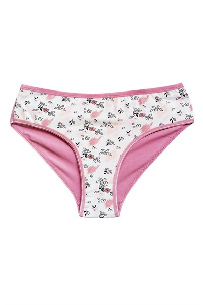 Pamuklu Geniş Kenarlı Likralı Desenli Bato Kadın Külot Desen 5