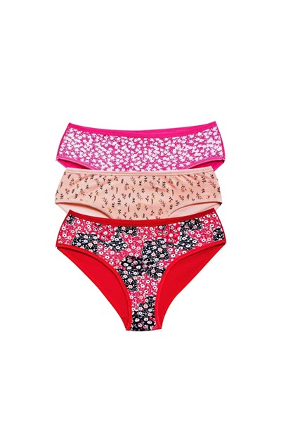 Pamuklu Geniş Kenarlı Likralı Desenli Bato Kadın Külot 3lü Paket Set3