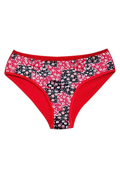 Pamuklu Geniş Kenarlı Likralı Desenli Bato Kadın Külot 3lü Paket Set3