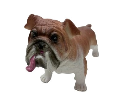 Soft Köpekler - Amerikan Bulldog Cinsi Köpek