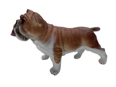 Soft Köpekler - Amerikan Bulldog Cinsi Köpek