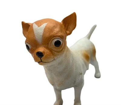 Soft Köpekler - Chihuahua / Şivava Cinsi Köpek