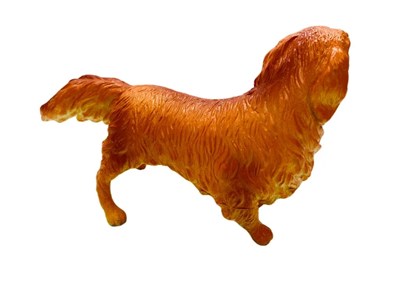 Soft Köpekler - Collie Cinsi Köpek