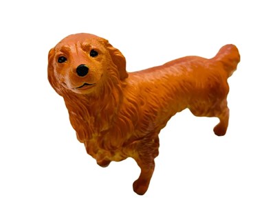 Soft Köpekler - Collie Cinsi Köpek