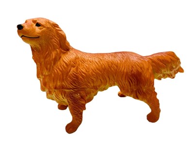 Soft Köpekler - Collie Cinsi Köpek