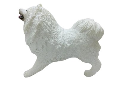 Soft Köpekler - Samoyed Cinsi Köpek