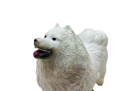 Soft Köpekler - Samoyed Cinsi Köpek