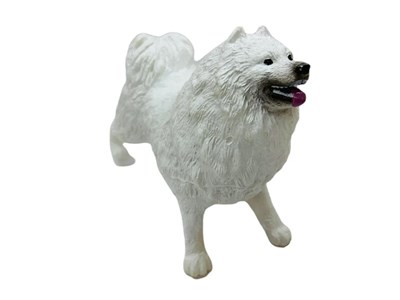 Soft Köpekler - Samoyed Cinsi Köpek