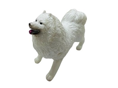 Soft Köpekler - Samoyed Cinsi Köpek