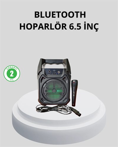 Taşınabilir Bluetooth Hoparlör – FM Radyo, USB, SD Kart ve TWS Özellikli