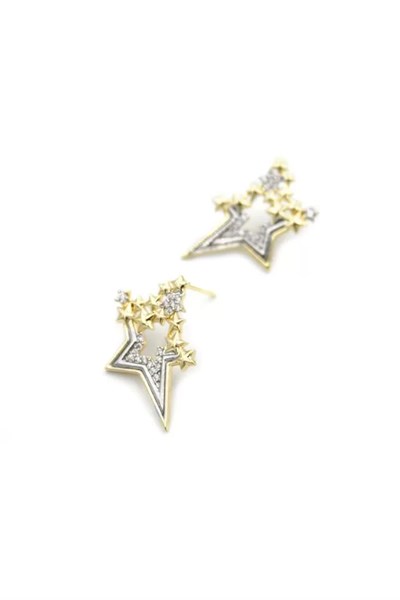 Taşlı Yıldız Küpe - Altın