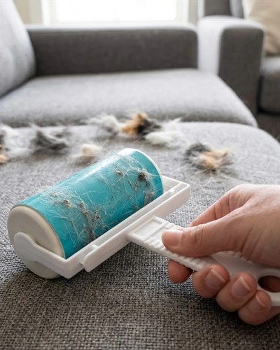 Yıkanabilir Tüy Toplama Rulosu Kedi Köpek Tüyü Temizleme Çok Amaçlı Temizlik Aparatı