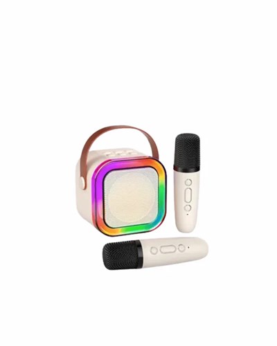 Yüksek Performanslı Kablosuz Karaoke Hoparlör