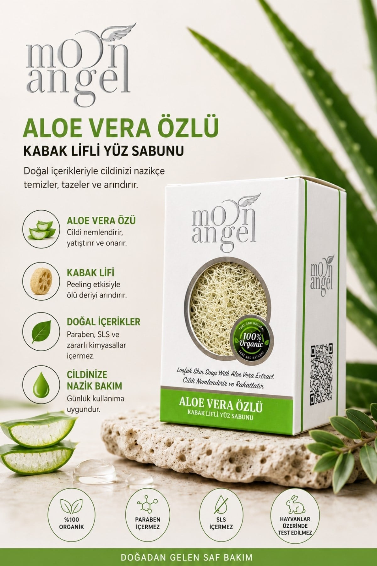 xxl aloe vera pflanze 3-5ft Aloe Vera