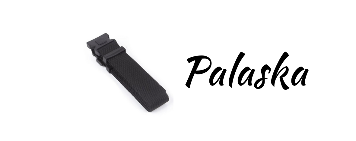 Palaska Kemer