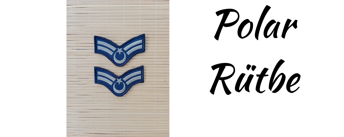 Rütbe Arma Rozet