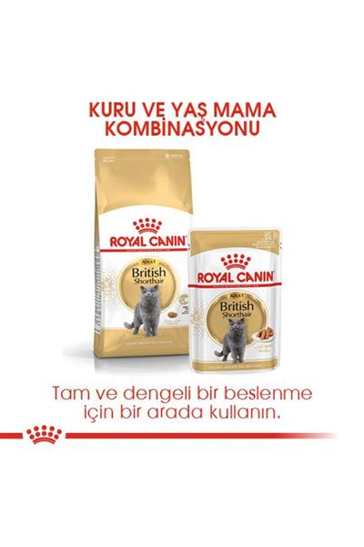 British Shorthair Adult Yetişkin Kedi Maması 400 Gr