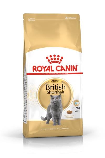 British Shorthair Adult Yetişkin Kedi Maması 400 Gr