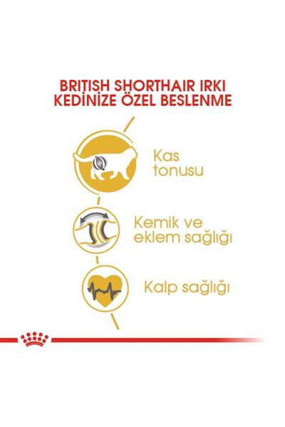 British Shorthair Için Kuru Kedi Maması 4kg