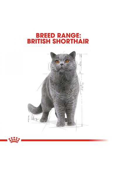 British Shorthair için Yaş Kedi Maması 85g