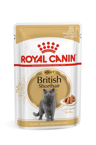 British Shorthair için Yaş Kedi Maması 85g