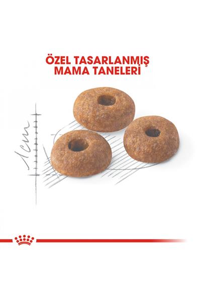 Fit32 Yetişkin Kuru Kedi Maması 400g