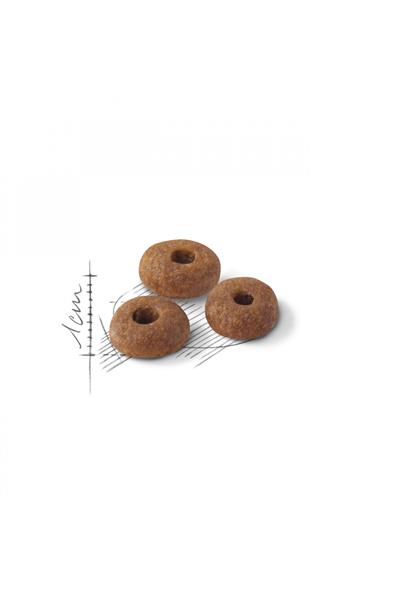 Fit32 Yetişkin Kuru Kedi Maması 400g