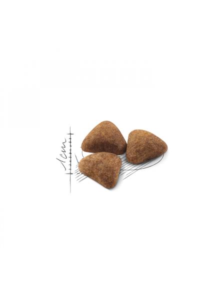 Indoor Ev Kedileri İçin Kedi Maması 400 gr
