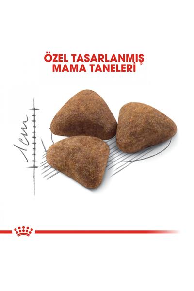 Indoor Ev Kedileri İçin Kedi Maması 400 gr