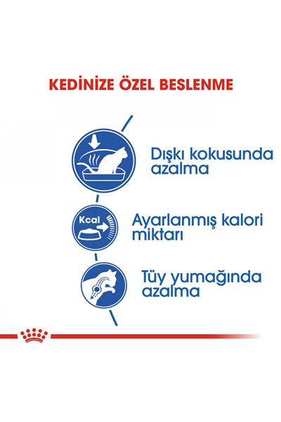 Indoor Ev Kedileri İçin Kedi Maması 400 gr