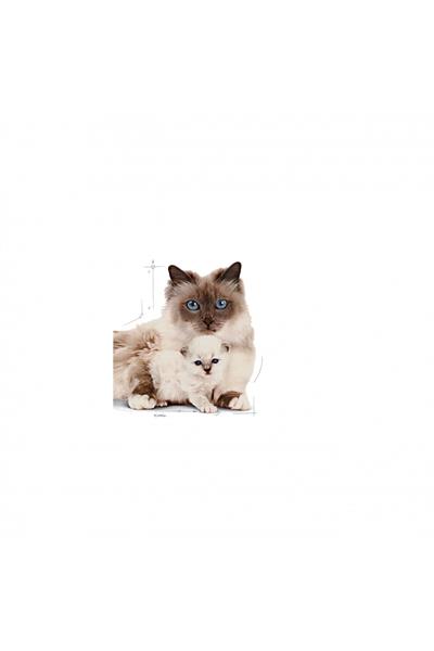 Mother&babycat Gebe/laktasyondaki Anne Ve Yavru Kedi Için Kuru Kedi Maması 2kg