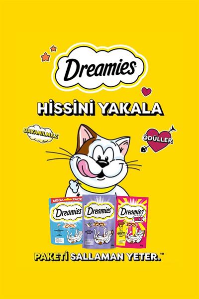 Peynirli Kedi Maması 60 gr 6x
