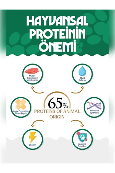 PREMIUM Somonlu Kuru Kedi Maması 12 kg Salmon Adult Cat