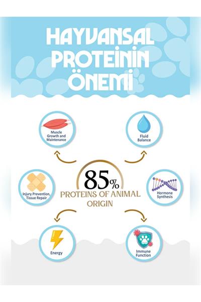 PREMIUM Somonlu Kuru Kısırlaştırılmış Kedi Maması 12 kg Salmon Adult Cat