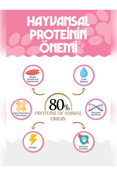 PREMIUM Tavuklu Kuru Yavru Kedi Maması 12 kg Kitten-Mother-Baby