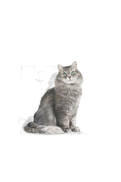Sensible 33 Hassas Sindirim Sistemi Destekleyici Yetişkin Kedi Maması 400 Gr